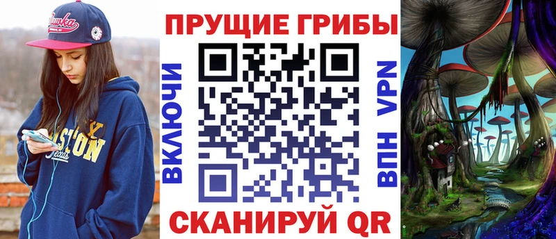 Галлюциногенные грибы Psilocybe  Верхняя Пышма 