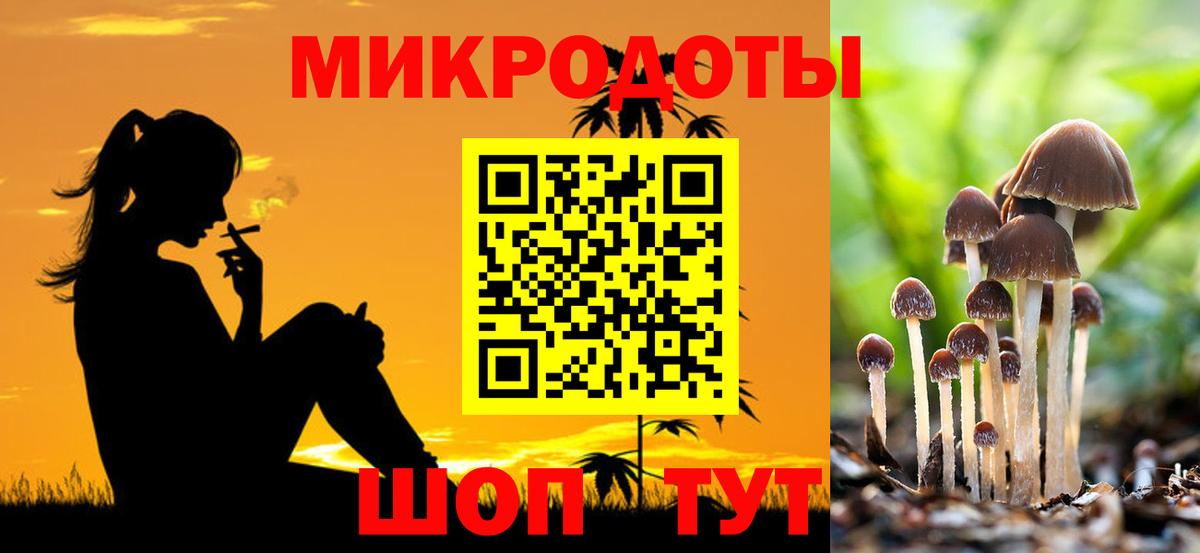 Галлюциногенные грибы Psilocybine cubensis  Вход с VPN  Верхняя Пышма  Галлюциногенные грибы мухоморы 