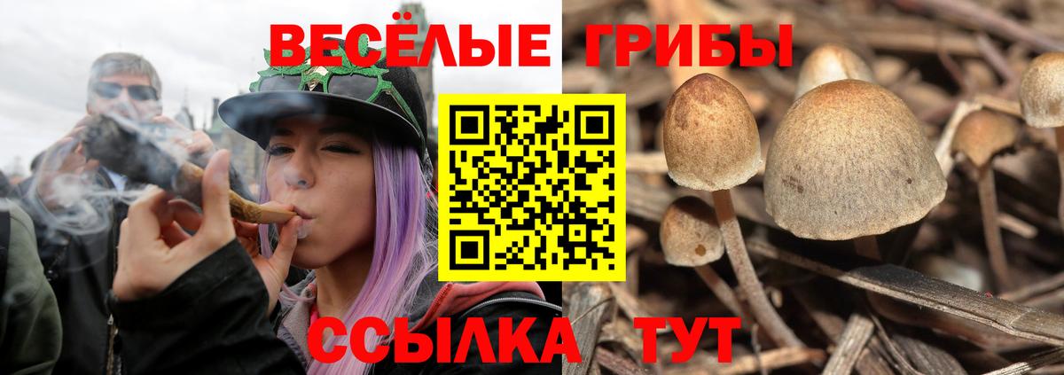 Псилоцибиновые грибы ЛСД Верхняя Пышма