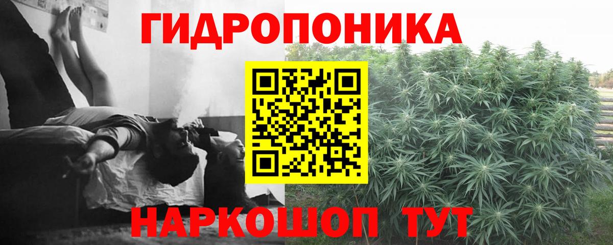 Конопля MAZAR Верхняя Пышма